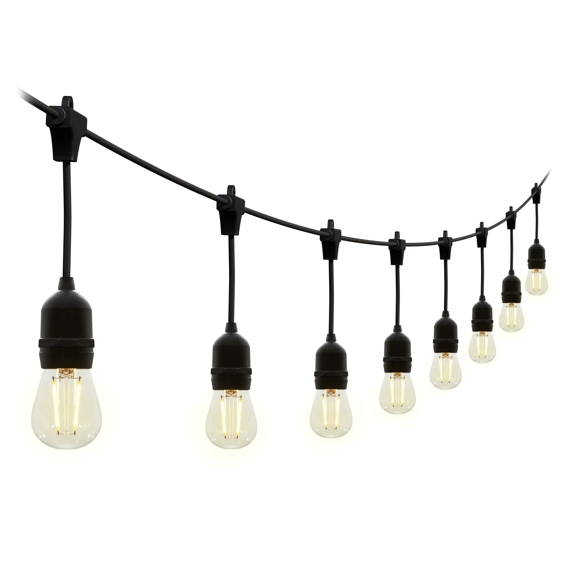 Festoon Lights
